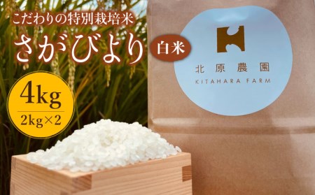 【こだわりの特別栽培米】令和6年産 新米 白米 さがびより 4kg【北原農園】[HCA004]特A米 特A評価