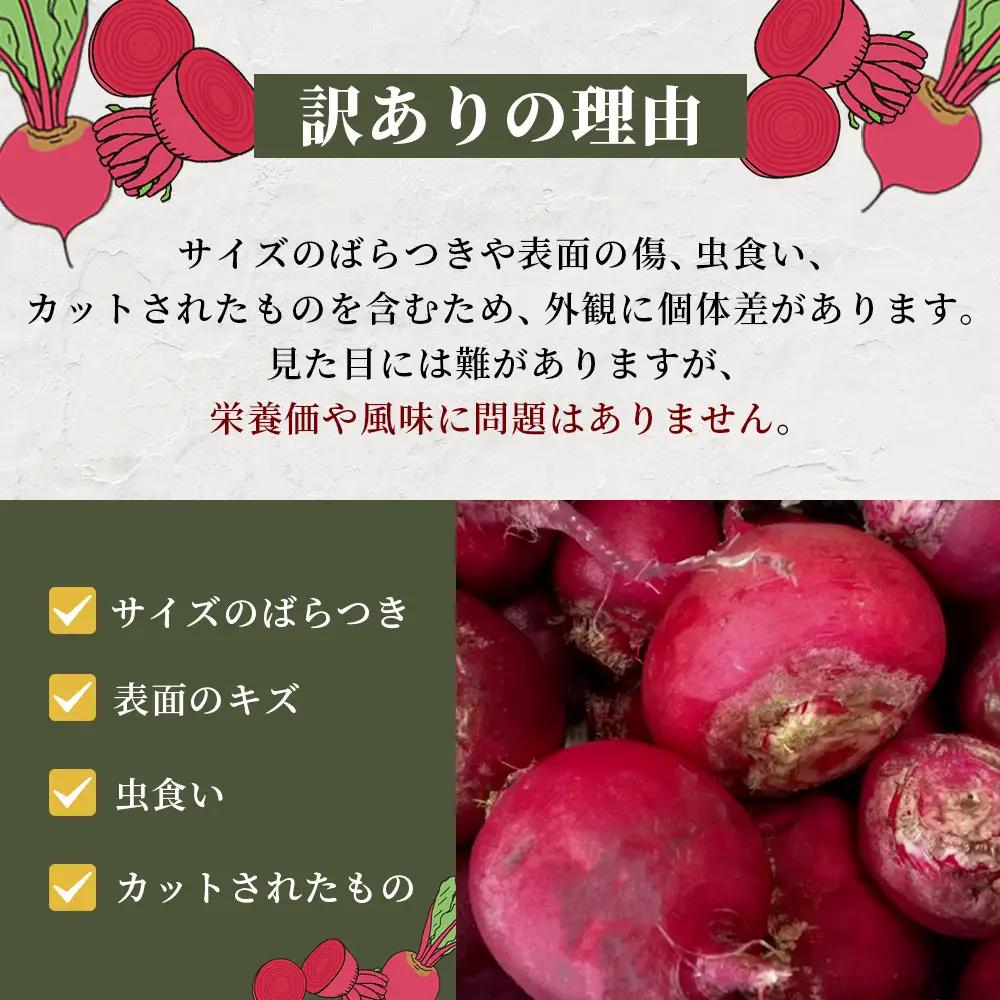 【訳あり】熊本県産 生 ビーツ 2kg スーパーフード 高栄養 びーつ beet 生 あさぎり農園 野菜 根菜 美容 健康 115-0610