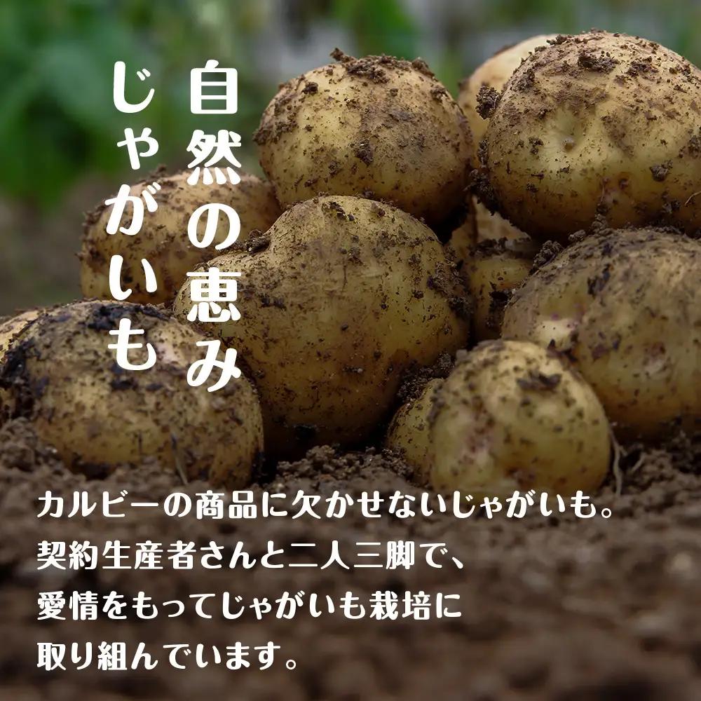 カルビーポテトチップス＜北海道バターしょうゆ味＞16袋入×1箱《千歳工場製造》【北海道限定】