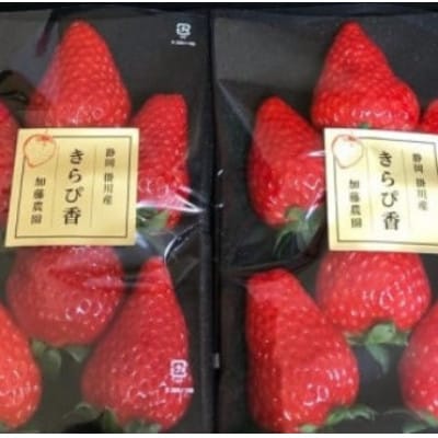 【2027年先行受付】いちご【きらぴ香】1箱 (1箱2パック入り 約250g×2)【配送不可地域：離島・北海道・沖縄県・四国・九州】