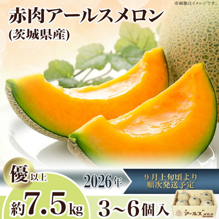 【ふるさと納税】2026先行予約 果物 メロン アールスメロン（マスクメロン） 茨城県 茨城県産 旬 フルーツ くだもの マスクメロン 茨城県産アールスメロン「赤」約7.5kg（3～6個）【2026年9月上旬～10月上旬ごろ発送予定】