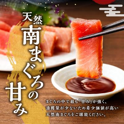 ふるさと納税 焼津市 【2025年12月お届け】訳ありミナミマグロ中トロ切落し約700g(a10-1000202512) |  | 02
