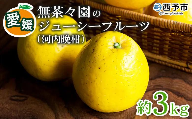 【先行予約】＜無茶々園のジューシーフルーツ（河内晩柑）約3kg＞果物 かわちばんかん みかん ミカン 蜜柑 柑橘 期間限定 季節限定 食べて応援 特産品 愛媛県 西予市 【常温】『2027年4月上旬～6月上旬迄に順次出荷予定』AMC0008