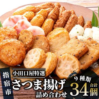 ふるさと納税 指宿市 【小田口屋厳選】さつま揚げ詰め合わせ 9種34個/B-322 (013-1126)