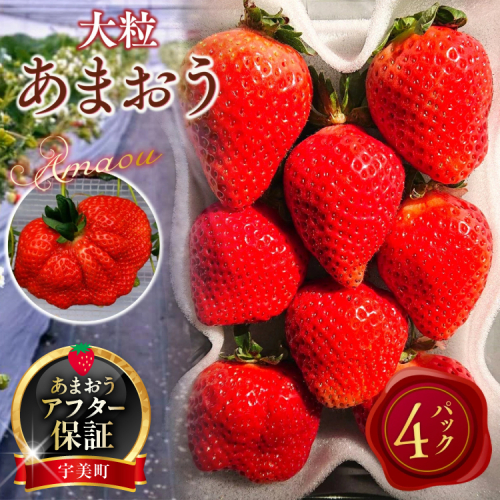 【期間限定発送】 いちご あまおう 厳選大粒 4p [THE FARM_strawberry 福岡県 宇美町 um40azo780007] イチゴ 苺 大粒 フルーツ 果実 甘い 小分け