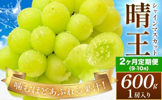 【2026年発送先行予約】【2ヶ月定期便】ぶどう シャインマスカット 晴王 約600g(1房入り)×2ヶ月定期便 満天フルーツ《9月上旬-10月末頃出荷》岡山県 浅口市 マスカット フルーツ 果物 お取り寄せフルーツ 贈り物 ギフト 岡山県産【配送不可地域あり】