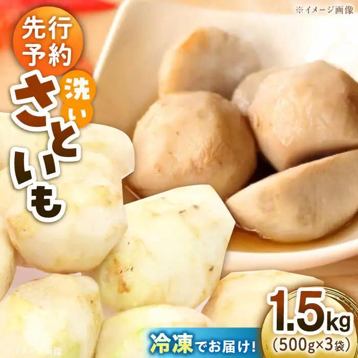 【冷凍】洗い 里芋 500g×3袋 里芋【9月上旬から順次発送】 [AGBN039]