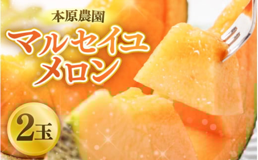 【先行予約】本原農園のマルセイユメロン2玉【2025年6月上旬以降順次発送予定】 [A-8926]