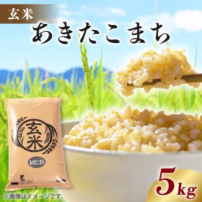 ふるさと納税 八郎潟町 【毎月定期便】あきたこまち 5kg 【玄米】全4回