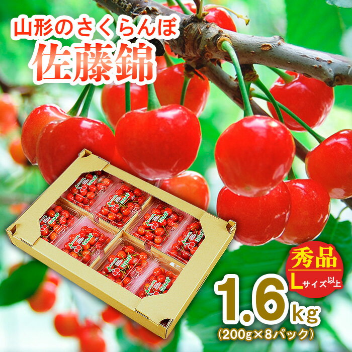 【ふるさと納税】山形のさくらんぼ 佐藤錦 1.6kg(200g×8パック) Lサイズ以上 【令和7年産先行予約】FS24-655 くだもの 果物 フルーツ 山形 山形県 山形市 お取り寄せ 2025年産