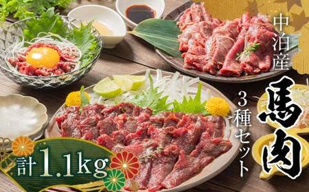 ≪馬肉3種セット≫ 焼肉用 約600g ＆ 馬刺し 約400g ＆ 馬肉ユッケ 約100g セットC 合計1.1kg （タレ付き）中泊町産 【肉や】 F6N-082