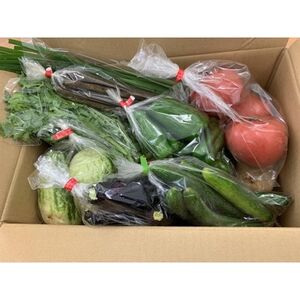 かすみがうら市産　季節の野菜セット15種　計約5kg【配送不可地域：離島・沖縄県】【1117815】