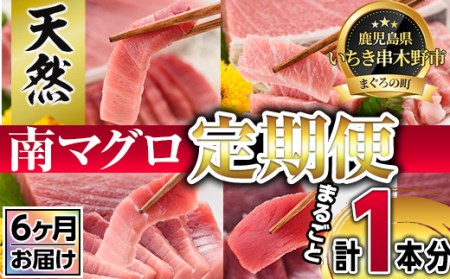 【定期便6回（毎月）】南マグロ丸ごと1本分 1回分の内容量は南マグロの大トロから赤身まで4kg〜6kgほどを揃えた贅沢セット。幻のマグロといわれる南マグロを半年間毎月お届け！【G-011H】