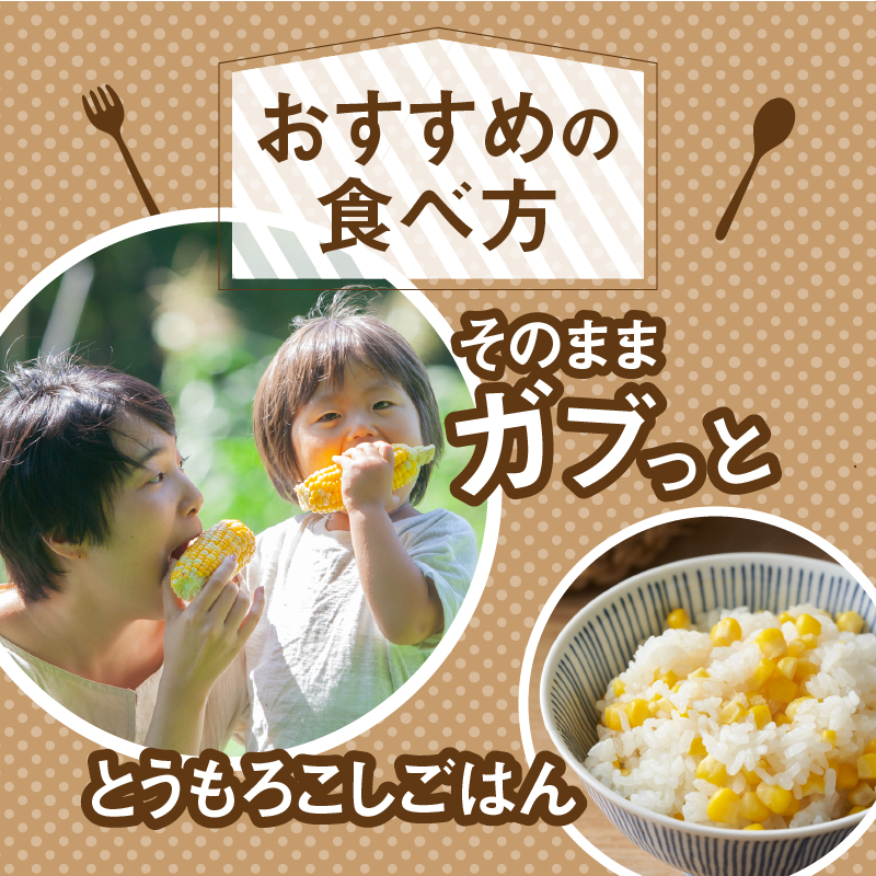 ≪2024年 先行予約≫富士北麓忍野村の気候、水、自然で作られた朝採りトウモロコシ【ゴールドラッシュ】2.5kg