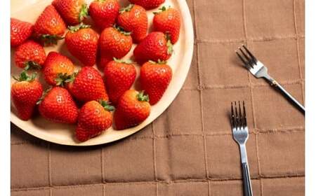 とちあいか4パック2箱 ※2026年1月上旬～4月下旬頃に順次発送予定 ※北海道・沖縄・離島への配送不可