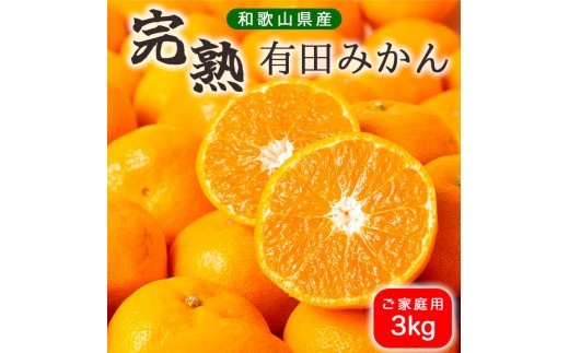 
                  濃厚 完熟 有田 みかん 3kg 2S～Lサイズ 混合 家庭用 みかんの木 コクと旨味 和歌山 湯浅町_BG6111n
                
