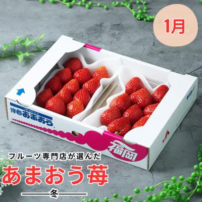 ふるさと納税 宇美町 【発送月固定定期便】旬の福岡フルーツ　あまおう・とよみつひめ・早味みかん・秋王・甘うぃ(宇美)全5回 |  | 01