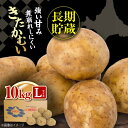 【ふるさと納税】【2025年1月以降順次発送】 じゃがいも きたかむい 10Kg《喜茂別町》【Aコープようてい】 ジャガイモ 野菜 季節の野菜 詰め合わせ 北海道 産地直送 [AJAK012] 10000 10000円 1万円