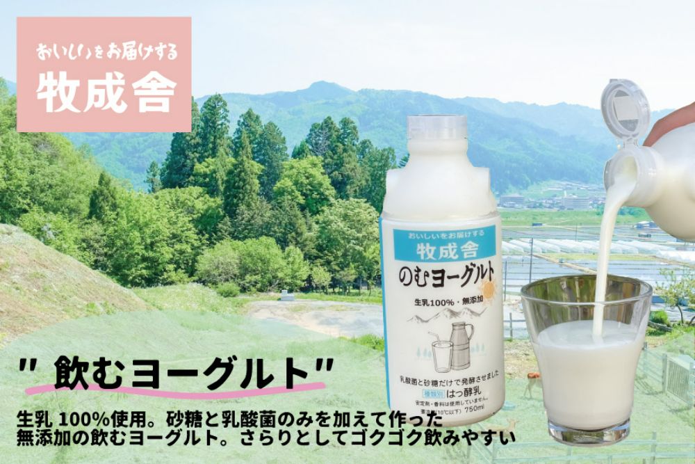 【 6ヶ月 定期便 】飛騨の牛乳屋こだわり 牛乳 3本 飲むヨーグルト 2本 セット 低温殺菌 6回 無添加 牧成舎 飛騨高山 TR3335