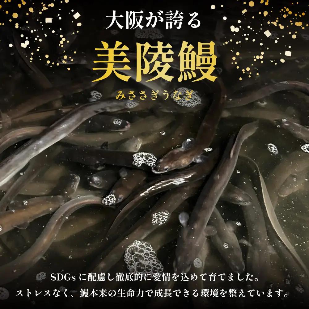 鰻 鰻の蒲焼き3尾セット