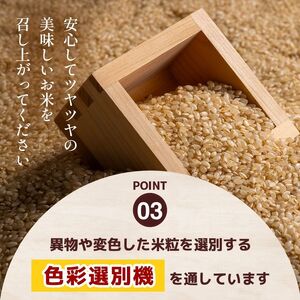 令和8年度産 先行予約 【定期便3回】とちぎの星 玄米 約5kg