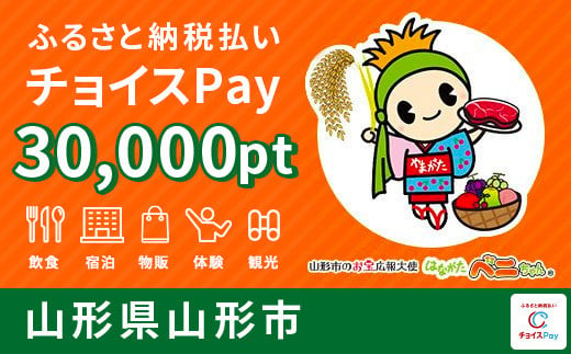 
FY20-534 山形市 チョイスPay 30,000pt(1pt＝1円)【会員限定のお礼の品】
