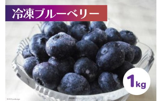 
                  〈先行予約〉 冷凍 ブルーベリー 1kg [ノーザン・ベリーズ 北海道 砂川市 12260395] 果物 フルーツ 国産 自家栽培
                