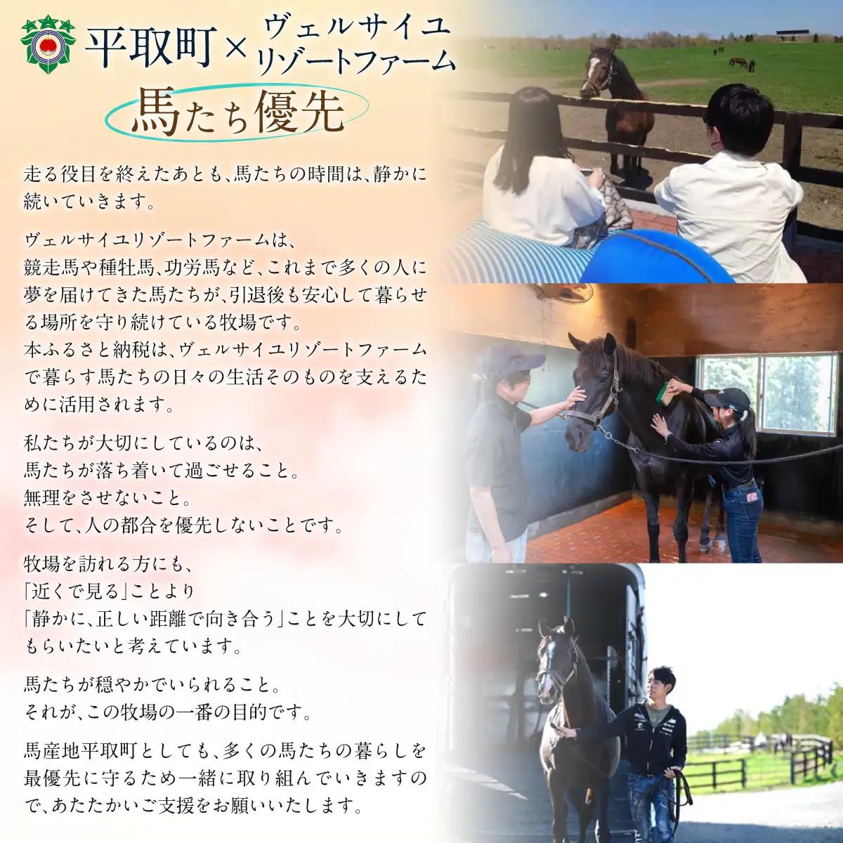 【5千円コース 返礼品無し】より多くの引退馬の幸せな余生を願う　Yogiboヴェルサイユリゾートファーム BRTV024-02