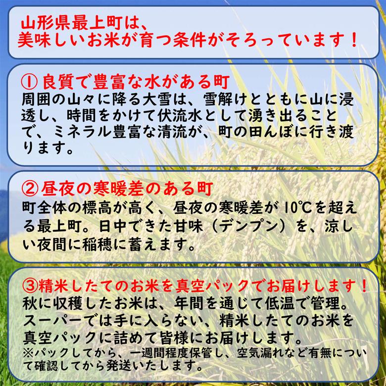 令和7年産 【無洗米】最上町産 あきたこまち 10kg (5kg×2袋)
