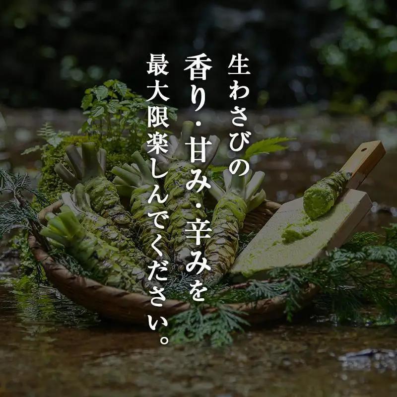 生わさび 伊豆天城産 4〜5本 計300g 薬味 生わさび