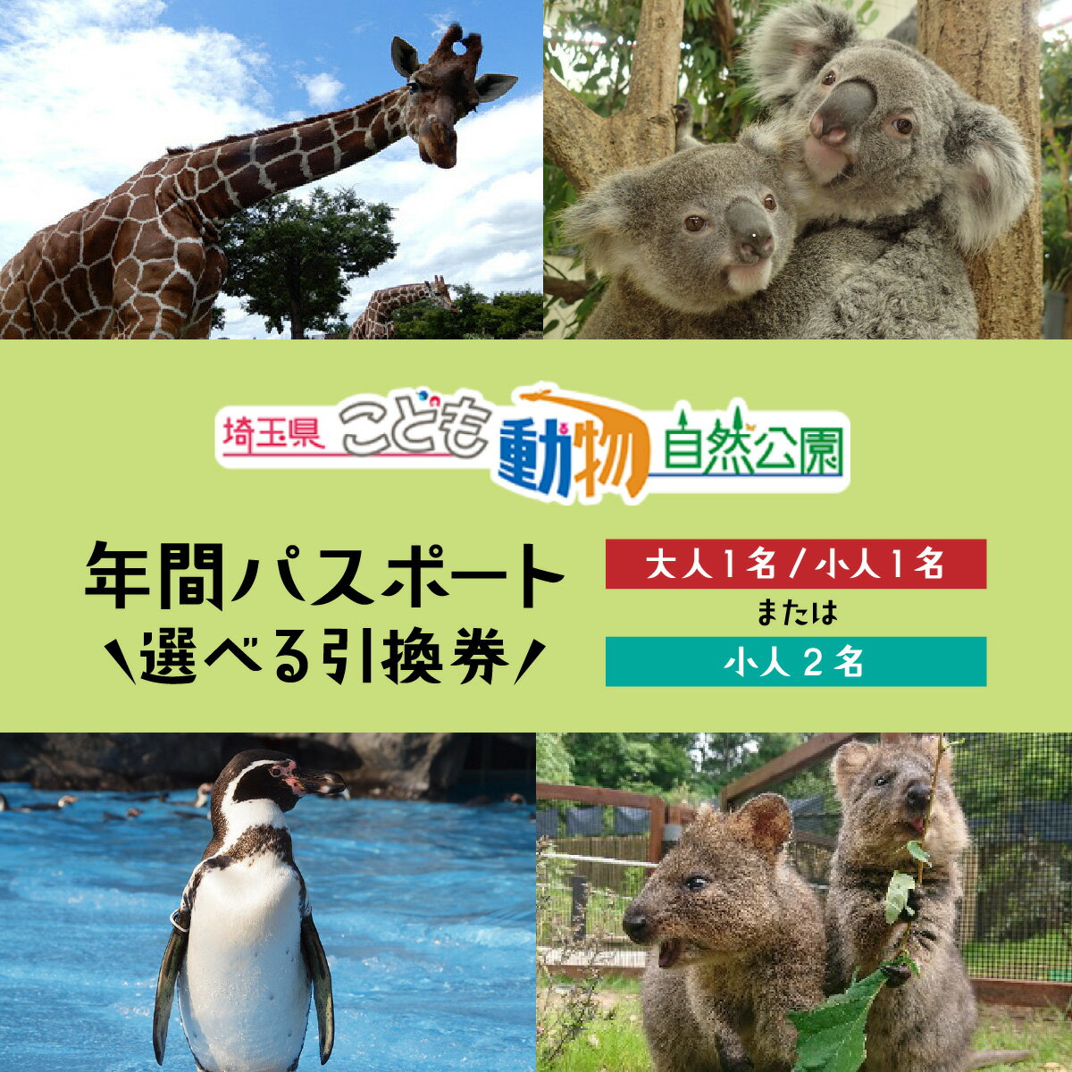 【ふるさと納税】埼玉県こども動物自然公園 年間パスポート 選べる引換券 大人1名＋小人1名 / 小人2名 | 動物園 年パス 子ども 子供 家族 ファミリー コアラ クオッカ カンガルー ペンギン 自然 小学生 年間利用 イベント アウトドア 入場券 遊び場 日帰り 埼玉県 東松山市