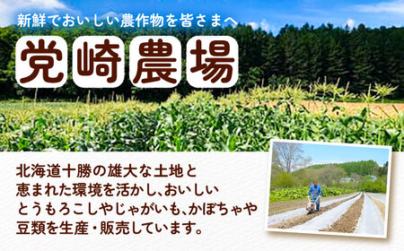 北海道産 じゃがいも＆かぼちゃ 計10kg（じゃがいも6-7kg・かぼちゃ3-4kg）【党崎農場】ジャガイモ じゃがいも かぼちゃ 北海道[BEAA009]