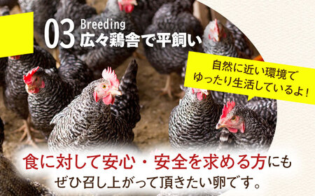 ＼月2回発送／【TVで紹介！】【鮮度ＡＡ級の世界最高ランク！】金太郎卵 平飼い たまご 計24個(12個×月2回)＜有限会社フジノ香花園＞那珂川市[GAM036]