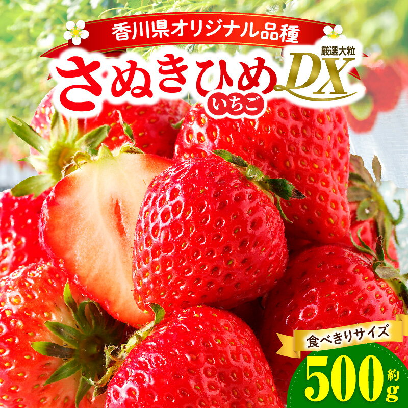 【ふるさと納税】【先行予約】【食べきりサイズ】さぬきひめいちごDXパック　約500g | スイーツ いちご ストロベリー さぬきひめ 苺 冷蔵 フルーツ 旬 果物 青果 青果物 お裾分け ギフト 香川県 デザート 青果物 先行予約 季節限定 旬 おすすめ 三木町