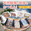 【ふるさと納税】食べ比べ 10種類！ 天然 鮮魚の刺身 ＆ おつまみ セット 新鮮 刺身 真鯛 あじ 一夜干し 西京漬け マグロ サバ 定置網漁 塩〆加工 漁師 直送 簡単 調理 厳選 魚介類 九州 熊本県 天草市 お取り寄せ グルメ 送料無料