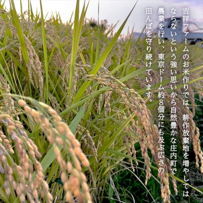 ふるさと納税 庄内町 【新米受付 10月発送】吉祥ファーム ササニシキ 5kg(入金期限:2025.9.15) |  | 01