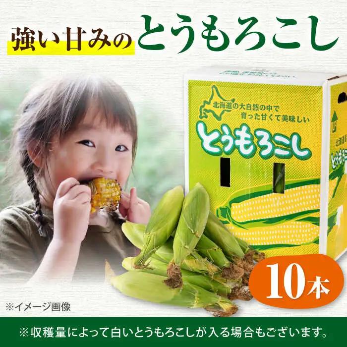 とうもろこし 10本 [AJAH025] とうもろこし