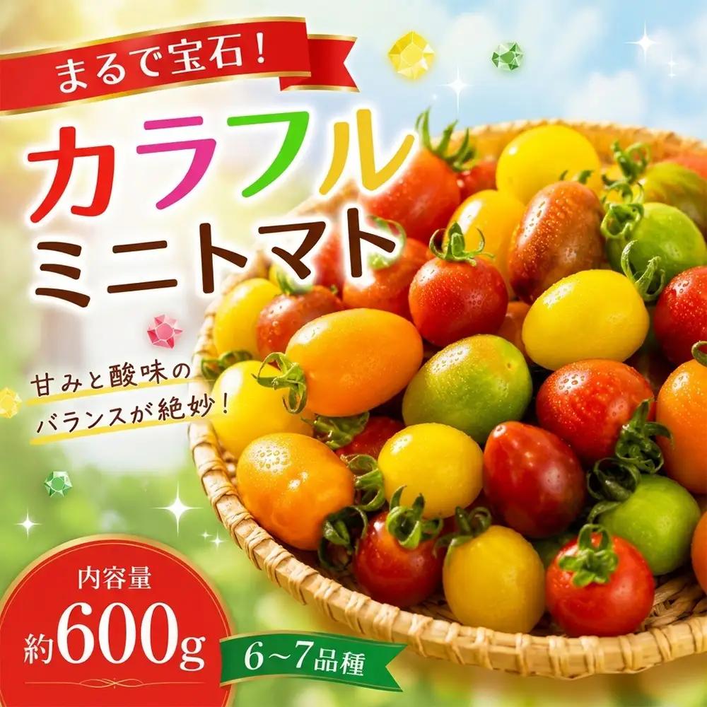 まるで宝石 カラフルミニトマト～ふるさとセット～  約600g×1箱