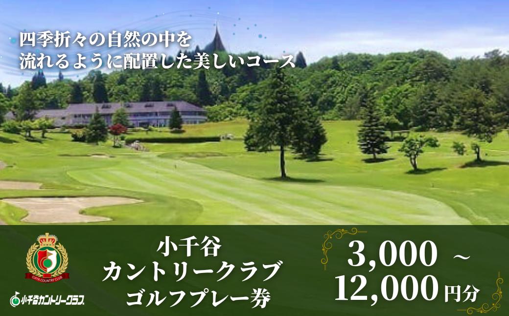 
                  小千谷カントリークラブ ゴルフ場利用券 ゴルフプレー券 3000円～12000円（1000円×3枚～12枚） 小千谷綜合開発 | ゴルフ場利用券 ゴルフ場利用券 ゴルフ場プレー券 ゴルフプレー券 コース ゴルフプレー コース利用券 新潟県 小千谷市【0044-0001SV00-01】
                