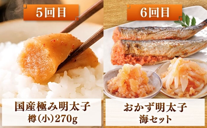 福岡 定期便 明太子 もつ鍋 水炊き 明太フランス 鍋 セット