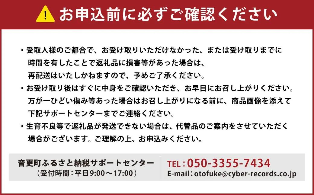 ［先行受付］おとふけ産マンゴー「白銀の太陽」Lサイズ×2玉【C40】《2026年11月上旬より発送開始予定》