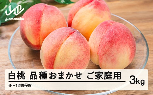 【先行予約】もも 桃 品種おまかせ 白桃 ご家庭用 約3kg(6~12個程度)  2026年産 山形県産 ※沖縄・離島への配送不可 tf-moywm3