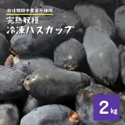 ふるさと納税 遠野市 冷凍 ハスカップ 2kg 栽培期間中 農薬不使用 農家 直送 遠野もぐもぐカントリー