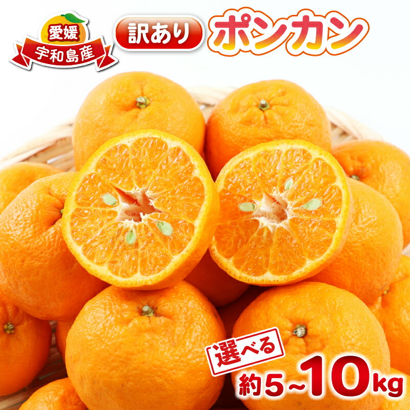 【ふるさと納税】 ポンカン 訳あり 選べる 内容量 5kg~10kg ぽんかん 杉本屋 訳あり品 先行予約 mikan みかん 訳アリ 訳有り デザート コク 甘い 果物 くだもの フルーツ 柑橘 蜜柑 ビタミン お取り寄せ 愛媛みかん 愛媛蜜柑 愛媛県産 産地直送 数量限定 国産 愛媛 宇和島