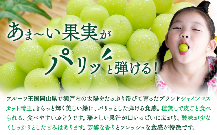 【2ヶ月定期便】ぶどう シャインマスカット 晴王 700g 1房 ハレノフルーツ(アストライ)《7月上旬-8月末頃出荷》岡山県 浅口市 送料無料 フルーツ 果物 マスカット お取り寄せフルーツ【配送不
