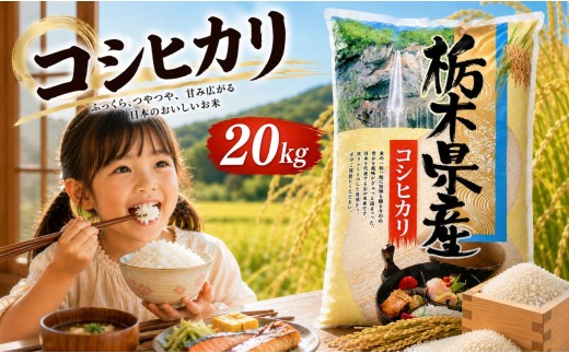 新米 令和8年度 栃木県産 こしひかり 白米 5kg × 4袋 （合計20kg） | ふるさと 納税 コシヒカリ お米 精米 白米 玄米 大粒 共通返礼品 送料無料 那珂川町 栃木県【栃木県共通返礼品】