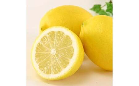 【希望の島】レモン特選品中玉2kg 愛媛県 松山市 中島産 レモン れもん 檸檬 贈答用 果物 フルーツ 調味料 農家直送 国産 常温 【2026年6月下旬迄順次発送予定】（1012）