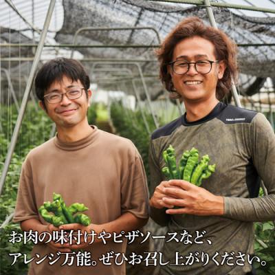 ふるさと納税 福知山市 〈ANA推奨〉 万願寺とうがらし味噌 |  | 03