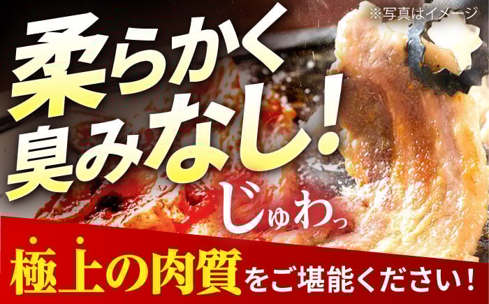 豚肉 ブロック 角煮 塩豚 煮豚