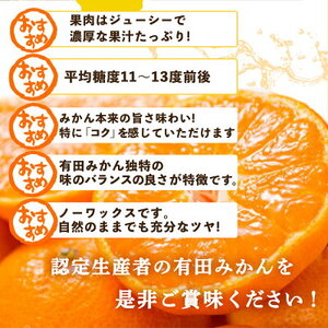 【2026年先行予約】有田みかん 10kg Sサイズ 産地直送 国産 有田 みかん 温州みかん ブランドみかん 柑橘 果物 フルーツ 果実 程よい酸味 濃厚 コク ジューシー 果汁 ノーワックス 紀伊